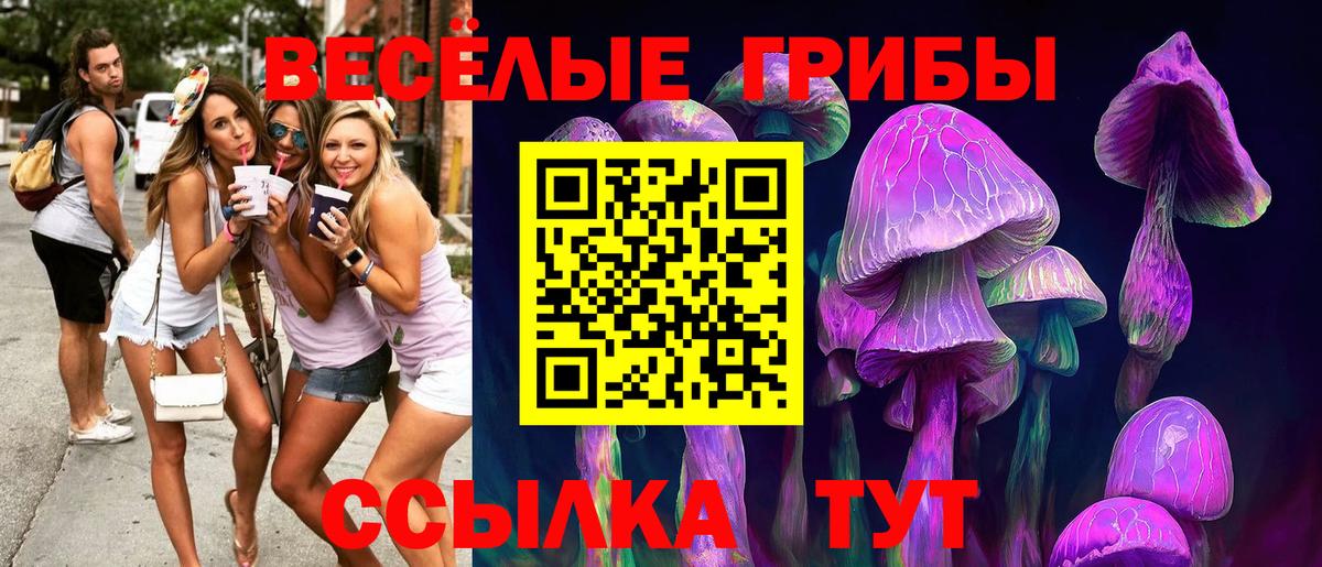 Псилоцибиновые грибы Cubensis Новодвинск