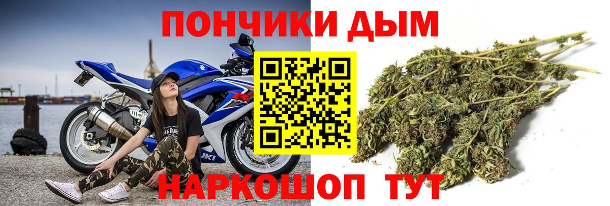 МАРИХУАНА Bruce Banner  Канабис план  Вход с VPN  Марихуана тримм  Новодвинск 